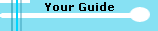 Your Guide