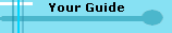 Your Guide